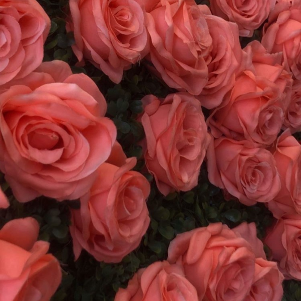 Meet your Posher, Huda